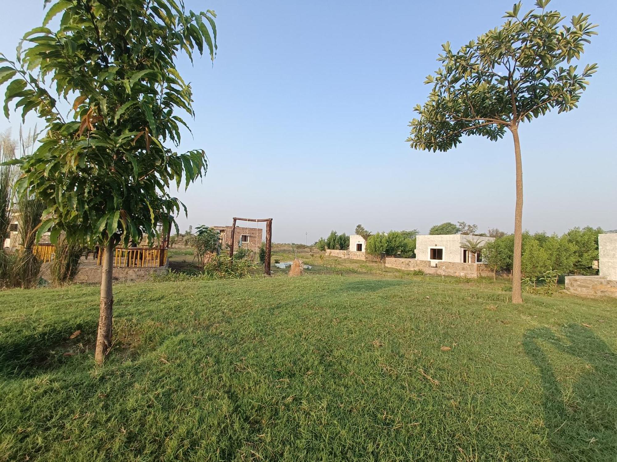 Jawai Wildlife Safari Camp Bed and Breakfast Nana Eksteriør billede