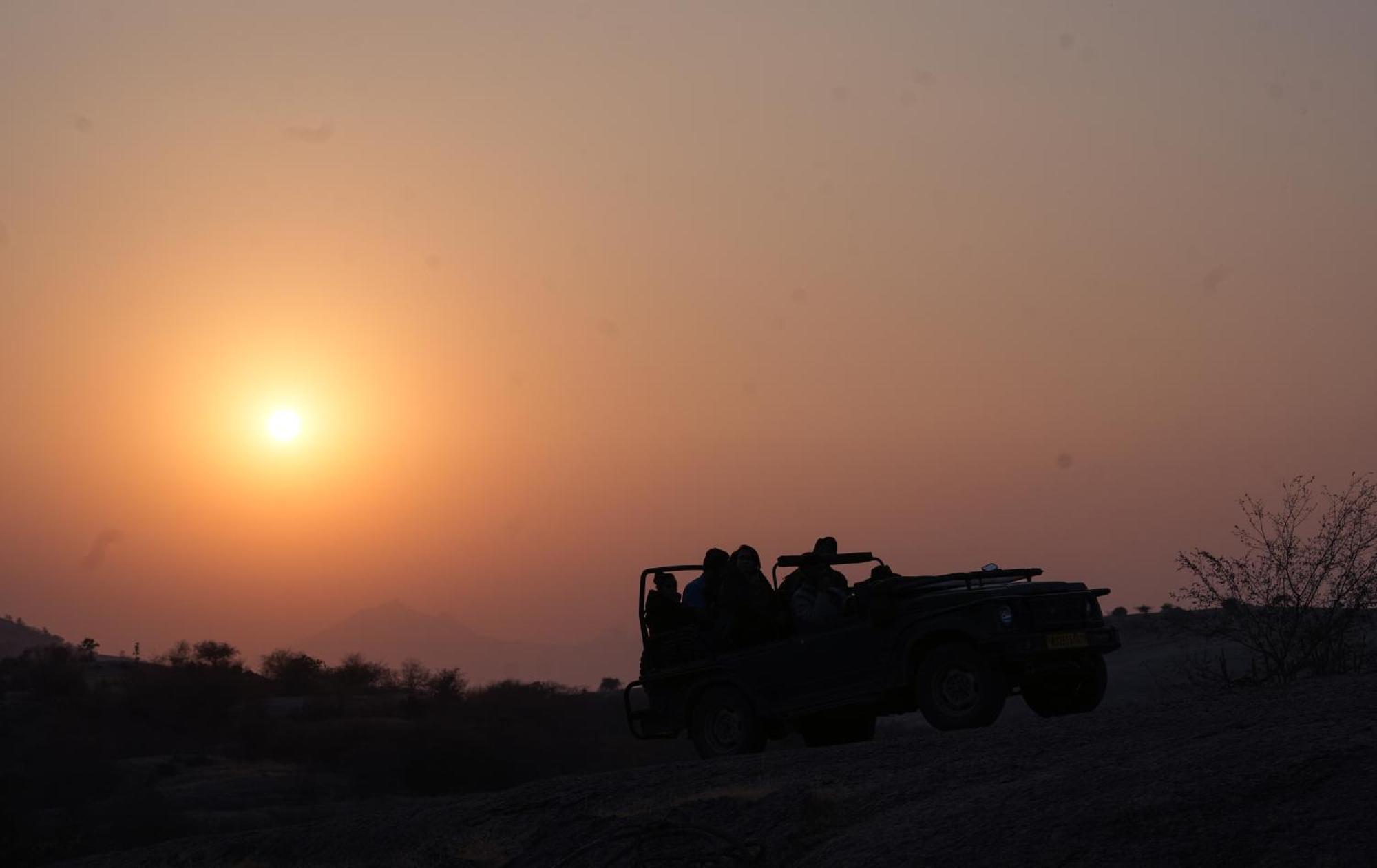 Jawai Wildlife Safari Camp Bed and Breakfast Nana Eksteriør billede
